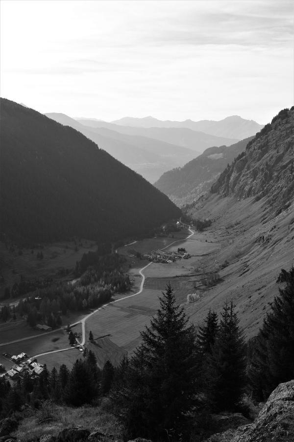 La Maizon Du Bois - Le Haut Appartement De 130 M2 - Le Bas Appartement De 70 M2 La Plagne Εξωτερικό φωτογραφία